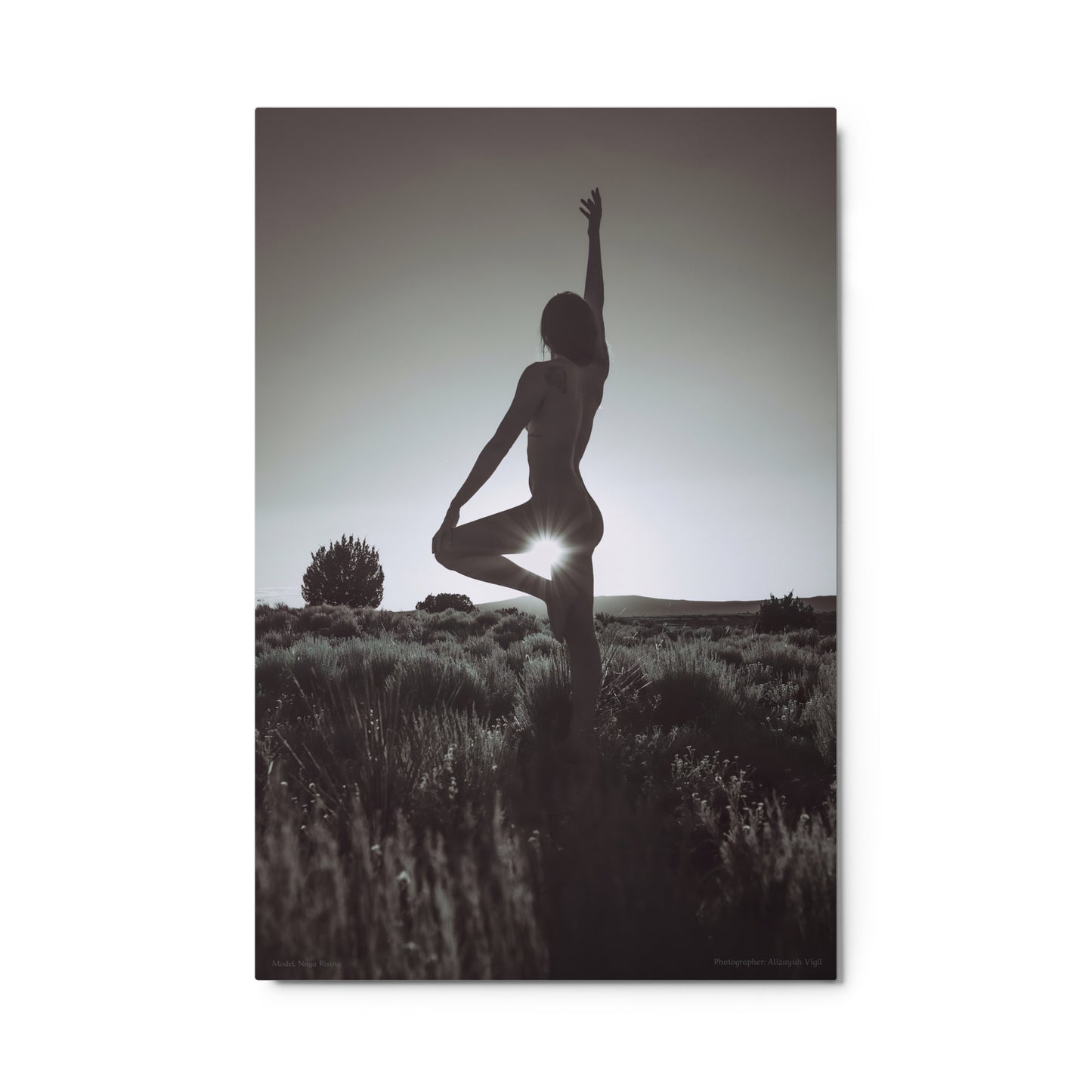 Release